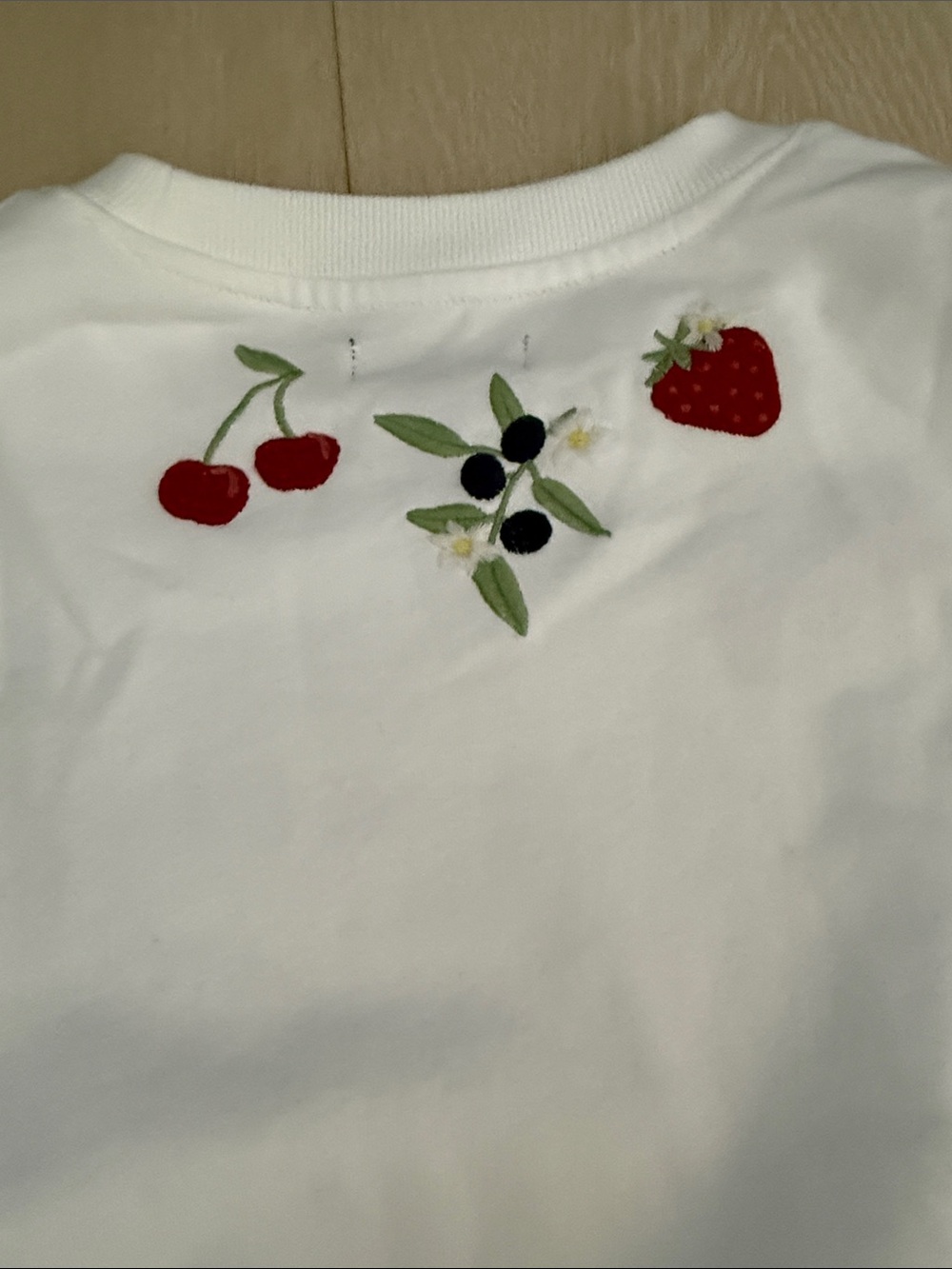 Aqua White Crewneck Sweatshirt with Colorful Fruit Embroidery - Picture 9 of 9